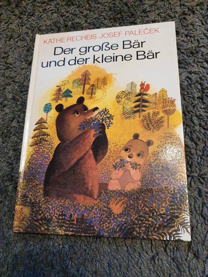 Buch Der große Bär und der kleine Bär DDR in Rodewisch