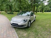 VW Beetle TSI Sport Brandenburg - Werder (Havel) Vorschau