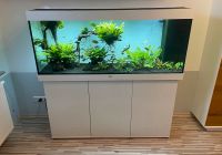 Aquarium Juwel Rio 450l komplett inkl. Zubehör Niedersachsen - Belm Vorschau