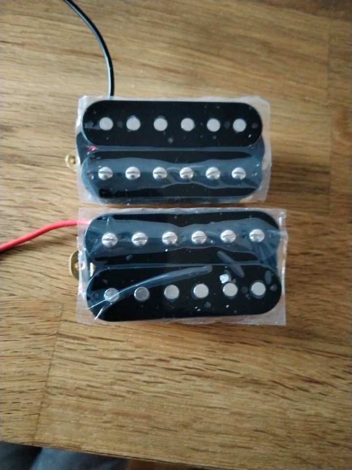 Roswell Humbucker 2 adrig in Obernkirchen