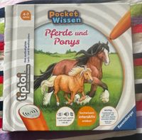 Tiptoi, Pferde und Ponys Niedersachsen - Papenburg Vorschau