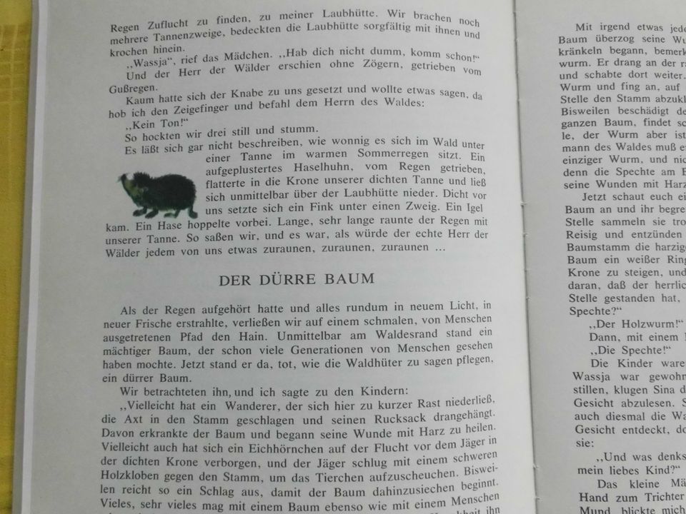 Der Sonnenspeicher – Geschichte zweier Waisenkinder in Hamburg