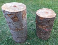 2 x Holzhackklotz Baumstamm Hack- Klotz Buche massiv Baden-Württemberg - Rangendingen Vorschau