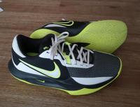 Nike Basketballschuhe Herren Gr. 43 neuwertig Rheinland-Pfalz - Lambsheim Vorschau