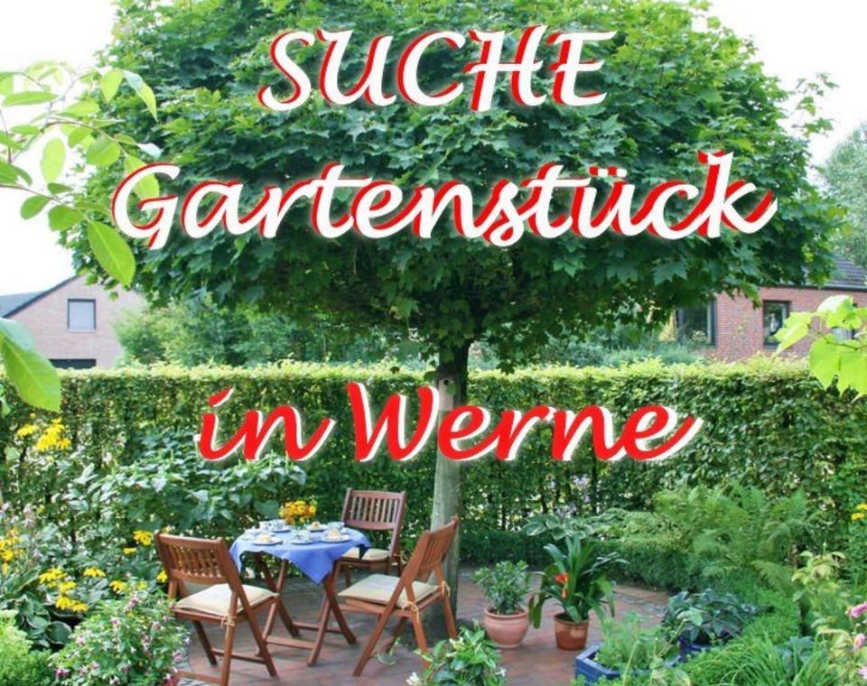 Suche Gartenstück zur Miete/Pacht in Werne u. Umgebung in Werne