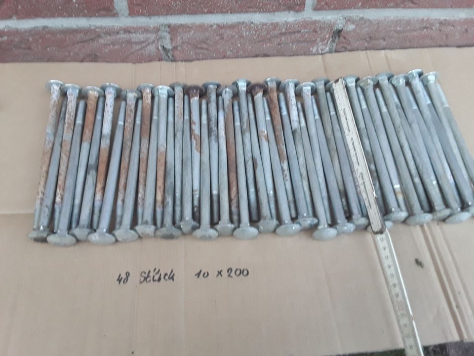 Stahlschrauben 10x240 Schlossschraube 12x180 12x200 12x220 12x320 in Fredenbeck