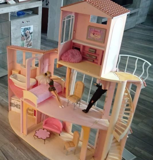 Barbie XL Sammlung Villa Krankenwagen Zug Flugzeug Wohnmobil Haus in Winsen (Aller)