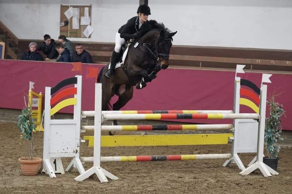 Pflegebeteiligung/Reitbeteiligung in Porta Westfalica