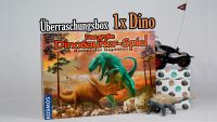 Geschenkbox für Kinder/Jugendliche (Dinosaurier) Saarland - Bexbach Vorschau