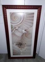 Bild Muscheln Maritim 60x110 cm TOP Nordrhein-Westfalen - Paderborn Vorschau