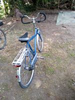 Fahrrad 28 Zoll Schleswig-Holstein - Rendsburg Vorschau