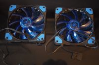 2x ORIGINAL KOLINK SANCTUARY CASE FAN/LÜFTER#LED#120mm#UNBENUTZT Leipzig - Leipzig, Südvorstadt Vorschau