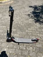 E scooter ninebot elektroroller Nordrhein-Westfalen - Leverkusen Vorschau