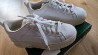 Puma Sneaker Damen Bayern - Hof (Saale) Vorschau