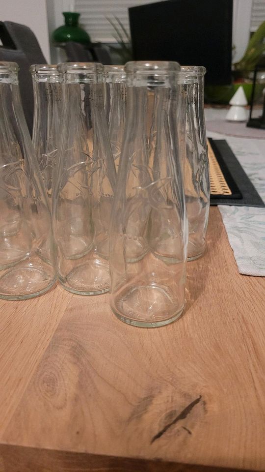 kleine Vase, Flaschen, Tischdeko, Hochzeit, Geburtstag, Kommunion in Olpe