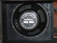 Mesa Vintage Black Shadow Speaker und Thiele Box Baden-Württemberg - Weinheim Vorschau