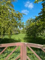 Suche Wiese, Freizeitgrundstück, Scheune, Stall in/um Weyhe Niedersachsen - Weyhe Vorschau