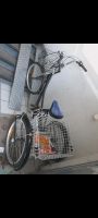 Dreiräder Fahrrad Brandenburg - Fürstenwalde (Spree) Vorschau