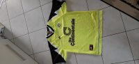 BVB Trikot Bayern - Königsbrunn Vorschau