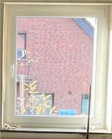 Fenster | Rehau | Zweifachverglasung | Baujahr 2013 Niedersachsen - Salzbergen Vorschau