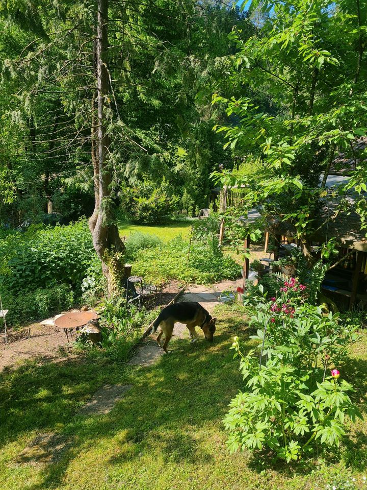 Zauberhafter Garten in idyllischer Lage in BadenWürttemberg