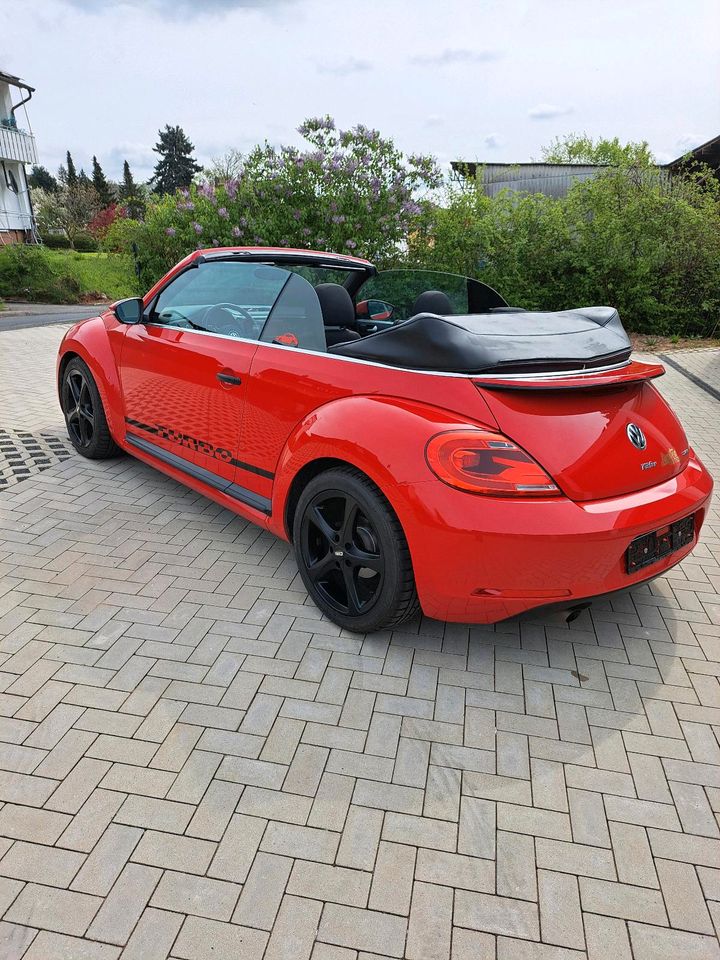 VW Beetle Cabriolet 105 PS rot in Neukirchen
