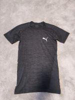 Puma Musclefit Sportshirt / T-Shirt Größe S Nürnberg (Mittelfr) - Kleinreuth b Schweinau Vorschau