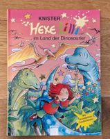 Kinderbuch Hexe Lilli im Land der Dinosaurier Hessen - Elbtal Vorschau