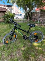 Kinderfahrrad Fahrrad Junge 20 Zoll Mountainbike Sachsen - Borna Vorschau