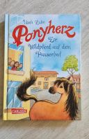 Ponyherz Buch Schleswig-Holstein - Satrup Vorschau