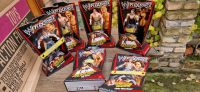 WWE WWF Flexforce Actionfiguren 6st. Mattel u.a. Cena Undertaker Rheinland-Pfalz - Westhofen Vorschau