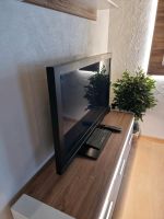 Panasonic 43 Zoll TV Bayern - Hohenpeißenberg Vorschau