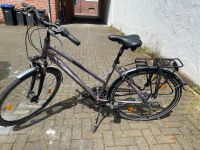 Trekkingrad Damen 28“ zundapp Nordrhein-Westfalen - Dülmen Vorschau