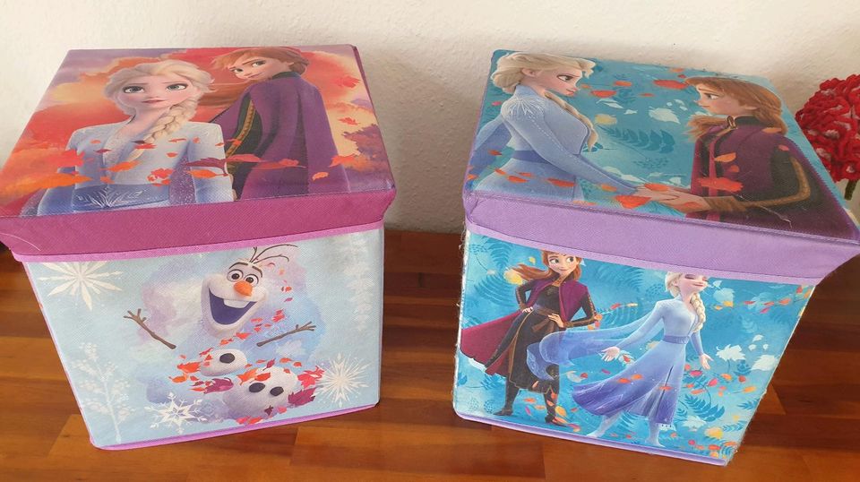 Anna & Elsa Aufbewahrungsboxen in Wiedergeltingen