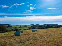 Siloballen / Silage Ballen 1,30m Rundballen 2022/2023 geschnitten Hessen - Nidda Vorschau