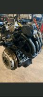 BUD Motor 1.4 16V 86tkm 59 KW 80 PS VW Golf V Polo 9N Automatik Niedersachsen - Langwedel Vorschau