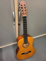 Pro Arte GC-125 M Gitarre 4/4 Altona - Hamburg Ottensen Vorschau