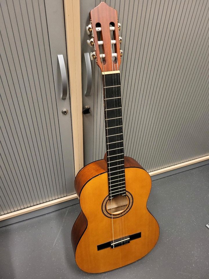 Pro Arte GC-125 M Gitarre 4/4 in Hamburg