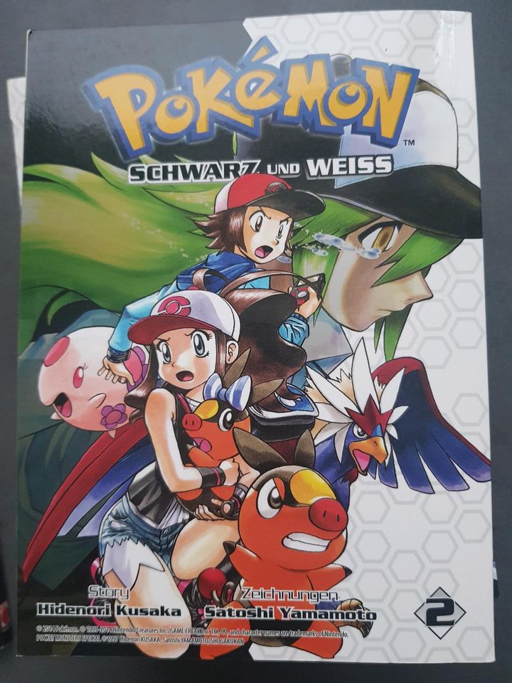 Pokémon Comic in Bünde