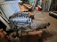 Bmw 750i e38 Motor+Geriebe Sachsen - Eibenstock Vorschau