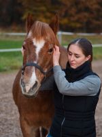 Pferdeosteopathie, Pferdephysiotherapie, Lasertherapie, Bemer Bayern - Weisendorf Vorschau