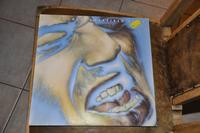 Joe Cocker Sheffield Steel Vinyl LP Baden-Württemberg - Spiegelberg Vorschau