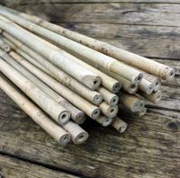 suche Bambusstäbe Bambus Nordrhein-Westfalen - Minden Vorschau