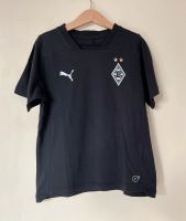T-shirt Borussia Mönchengladbach 140 schwarz Puma Nordrhein-Westfalen - Bedburg-Hau Vorschau