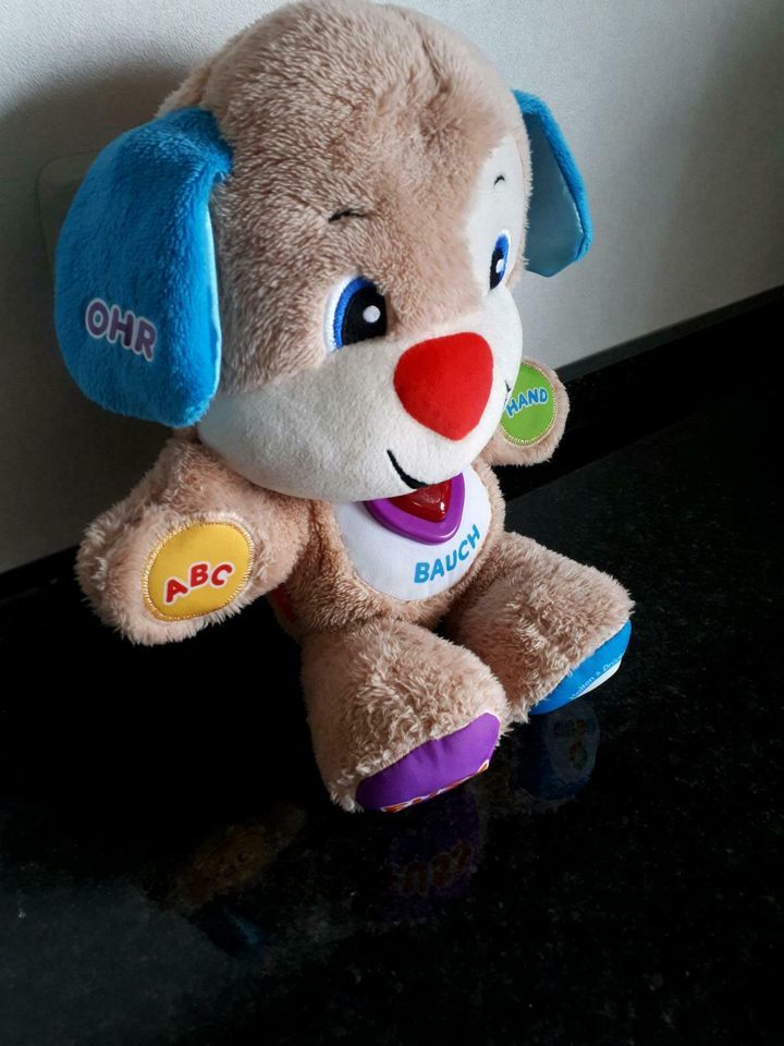 Lernhund von Fisher-Price in Hessen - Petersberg | Baby Spielzeug gebraucht  kaufen | eBay Kleinanzeigen ist jetzt Kleinanzeigen