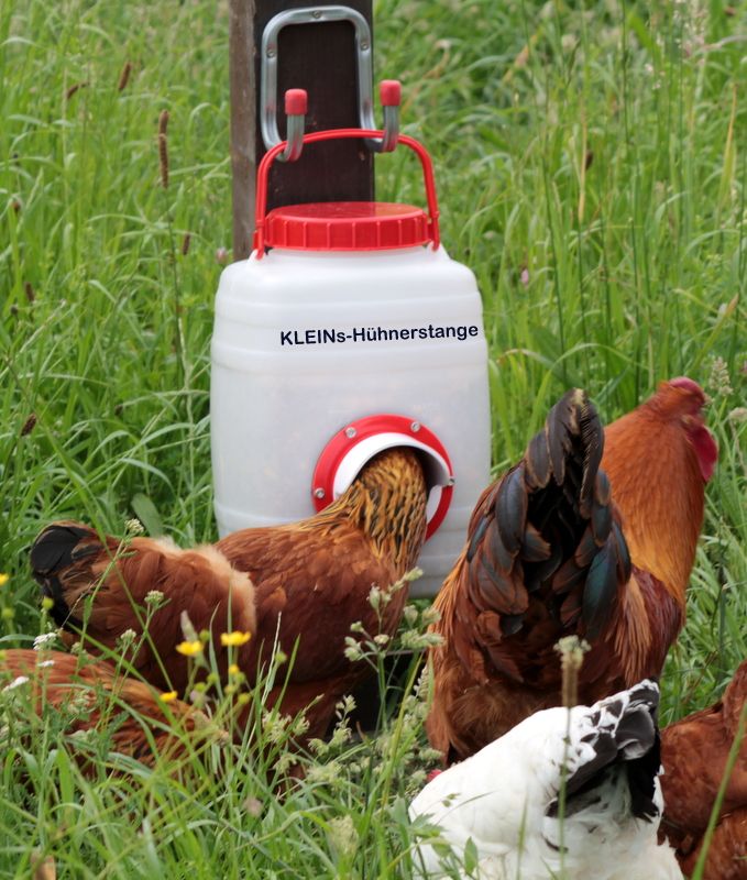 Einsatz Futterspender Futterautomat Trog Hühner Küken Stall in Göcklingen