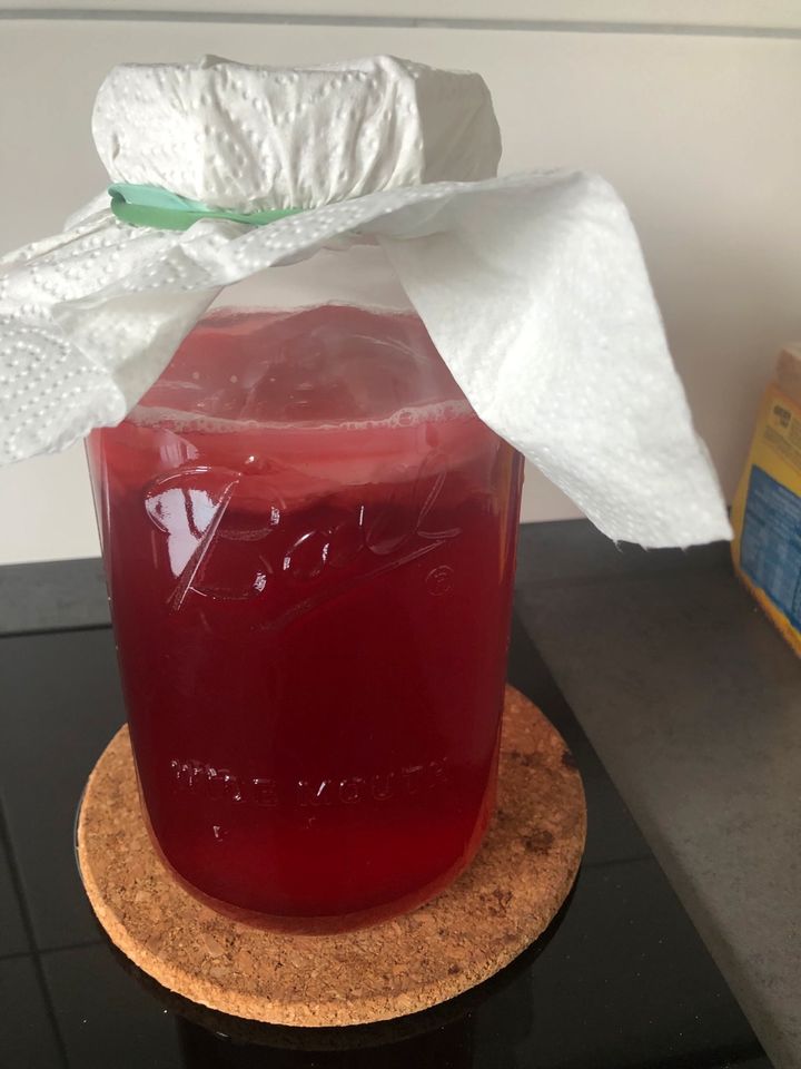 Kombucha Scoby in Sachsen bei Ansbach