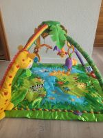 Spielbogen Jungle Fisher Price Stuttgart - Stuttgart-Nord Vorschau