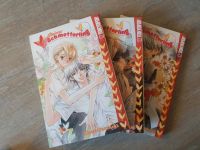 Kleiner Schmetterling Manga abgeschlossen Brandenburg - Wandlitz Vorschau
