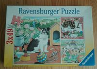 Ravensburger Puzzle Hund, Katze und Hase 3 X 49 Teile Nordrhein-Westfalen - Warburg Vorschau